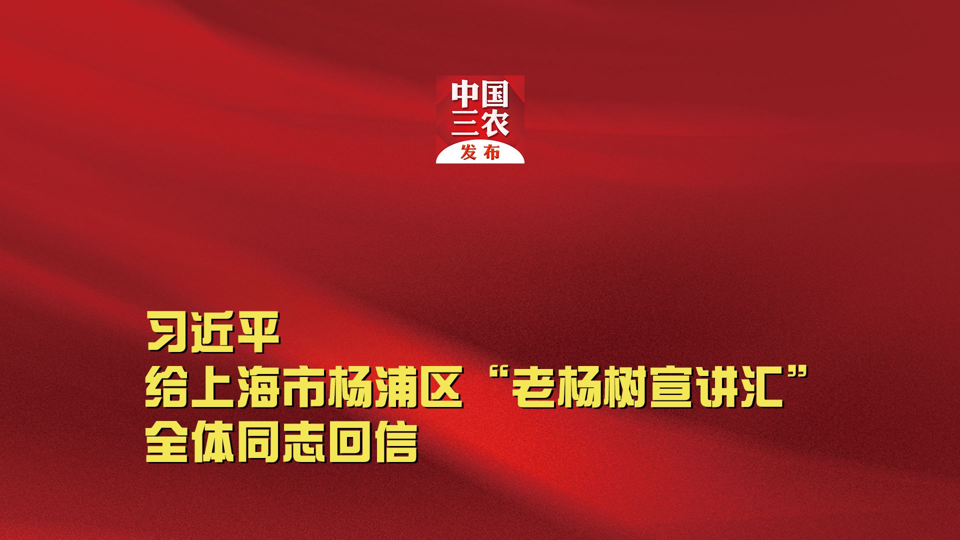 习近平给上海市杨浦区“老杨树宣讲汇”全体同志回信哔哩哔哩bilibili