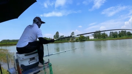 有多少钓鱼人能抵抗这种美妙的声音_哔哩哔哩_bilibili