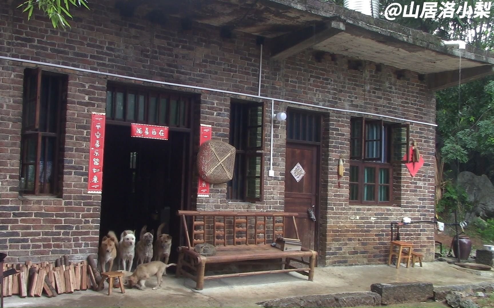 [图]下雨了，隐居山中竹林老屋，仿佛置身千年前，连猫狗也陶醉在雨中