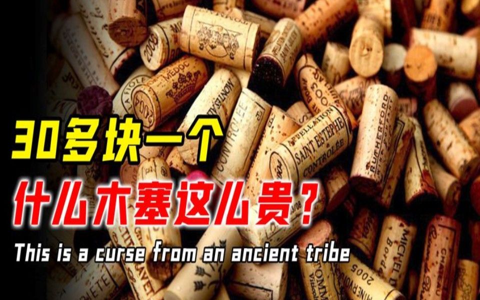 生长周期慢,40年才能制作成木塞的栓皮栎,到底为啥这么贵?哔哩哔哩bilibili