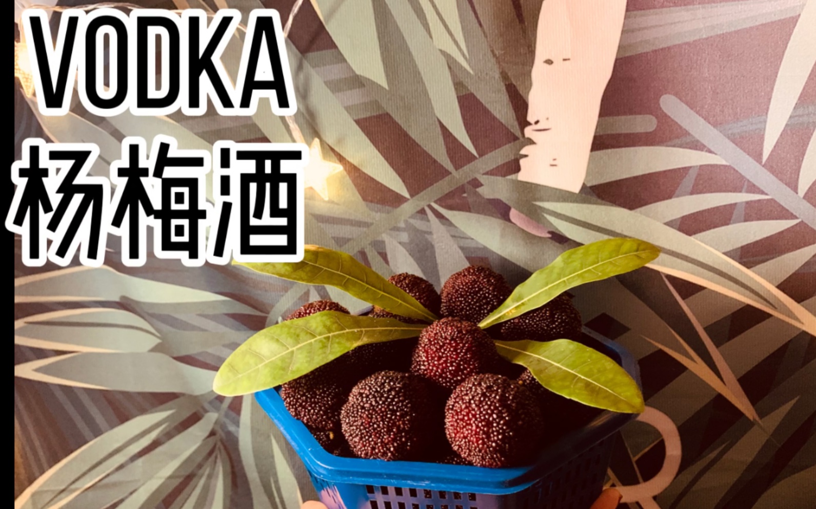 【queenie家庭泡酒】vodka杨梅酒～酸甜可口舌尖上的初恋