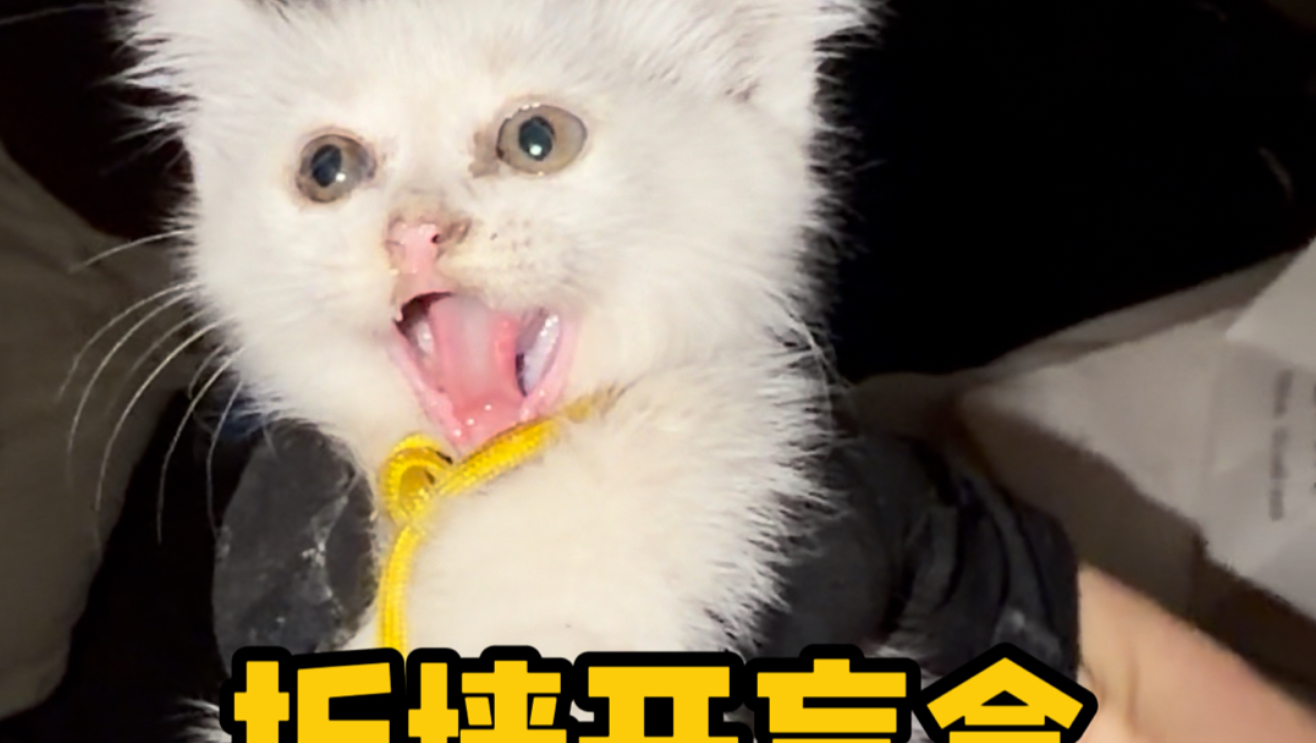 拆墙开盲盒