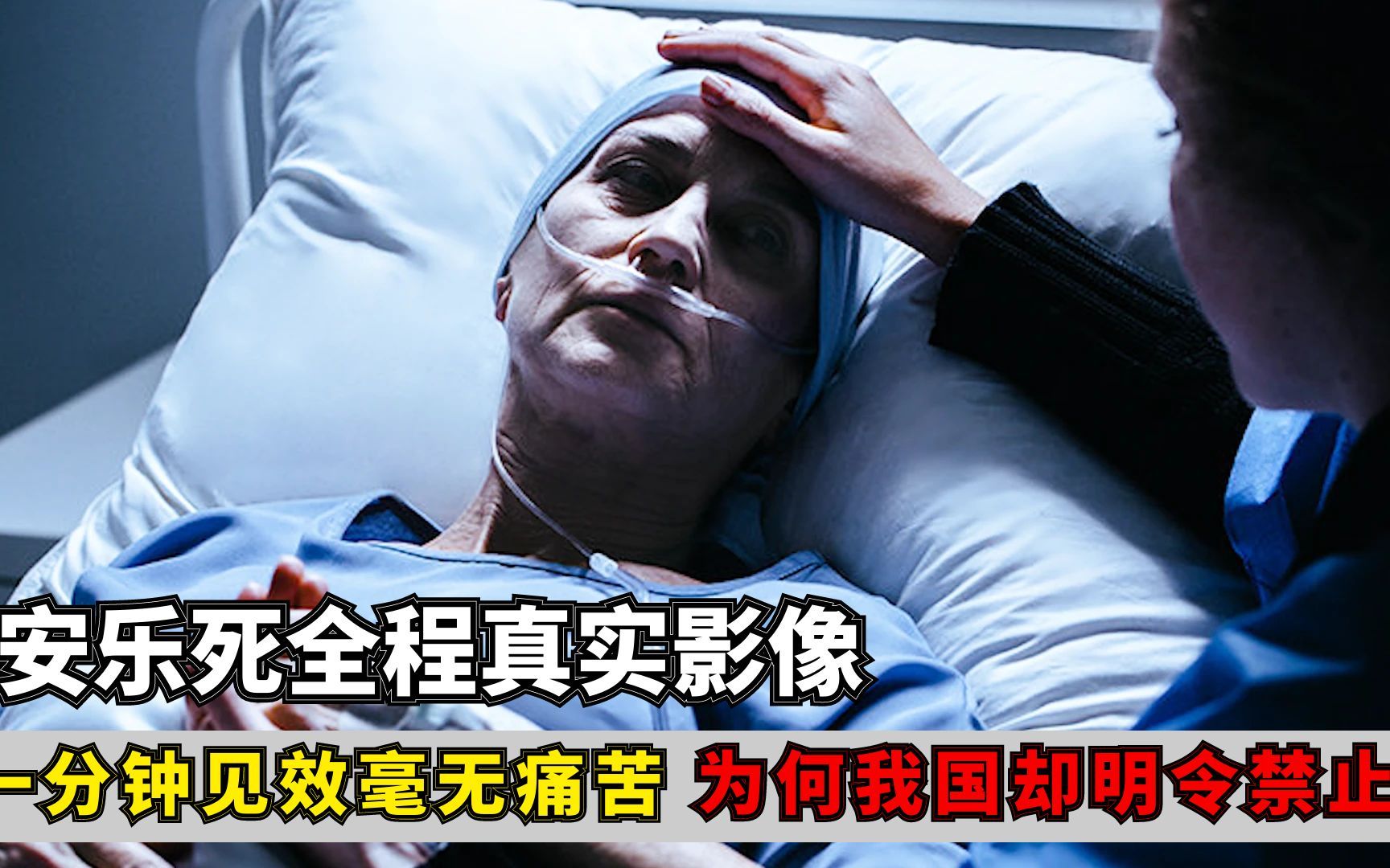 安乐死图片 病人图片