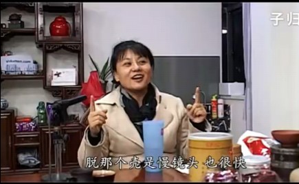 易度门杨宁老师开示——百年只是你生命长河中一小段风景