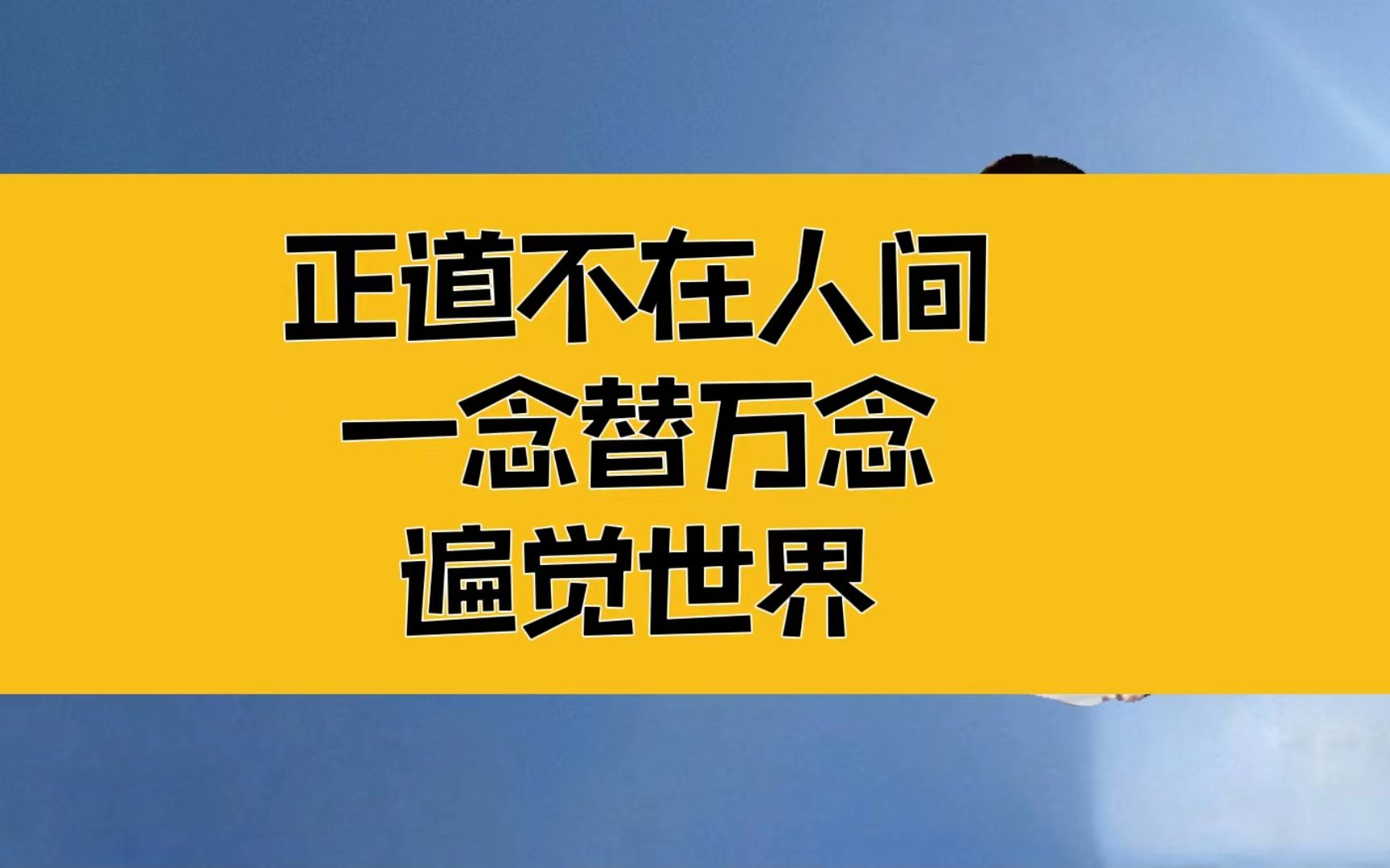 庄子:正道不在人间!从心入手,一念替万念,便能遍觉世界哔哩哔哩bilibili