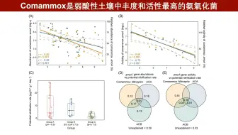 iMeta | 浙大胡宝兰组-解析土壤中关键硝化细菌及其生态地位