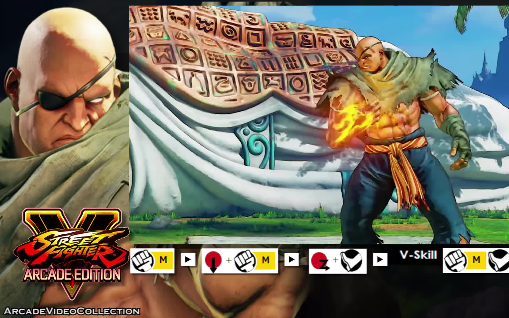 街头霸王5ae沙加特sagat78连段研究