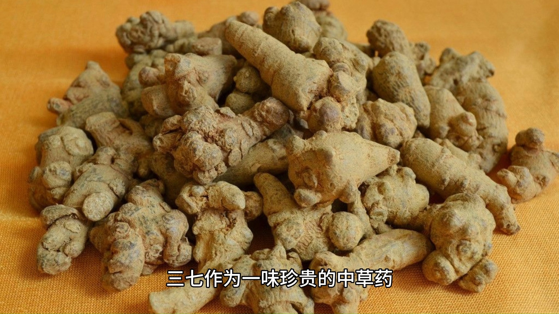 学习中药知识,今日科普三七