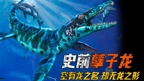 2 4亿年前的深海 孽子 龙 幻龙 哔哩哔哩
