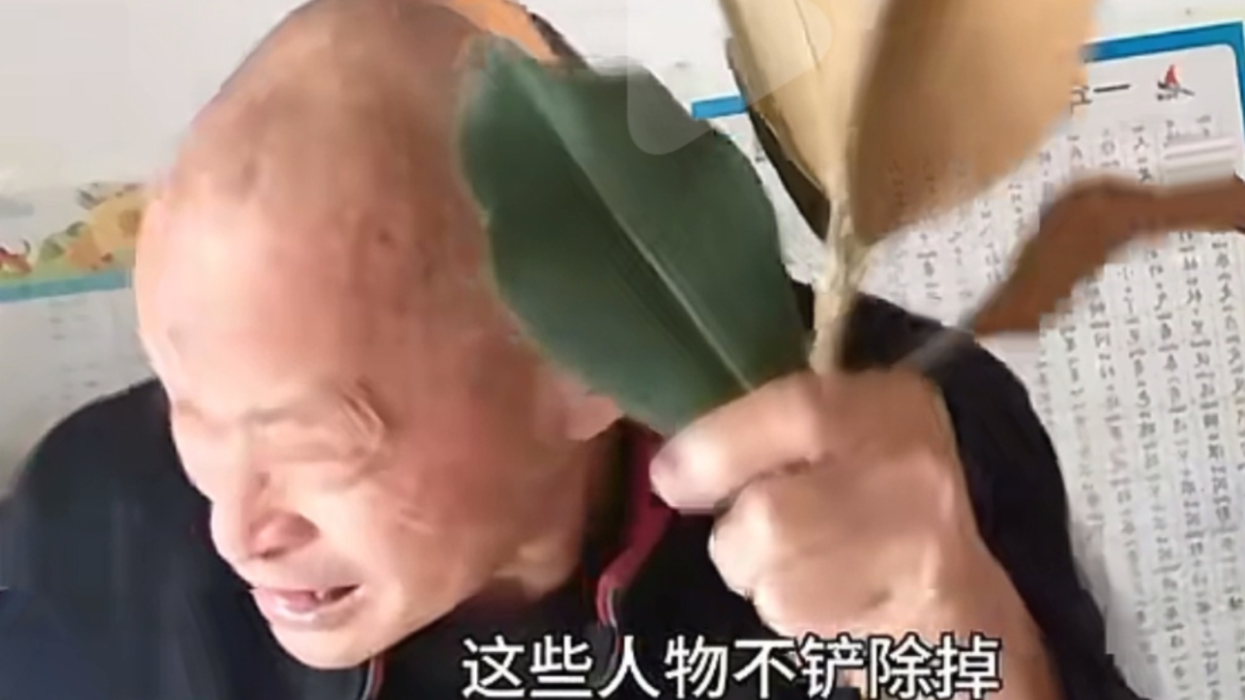 【民科TV】李文亚 手机高清实拍：放大后叶绿体气孔并不存在！