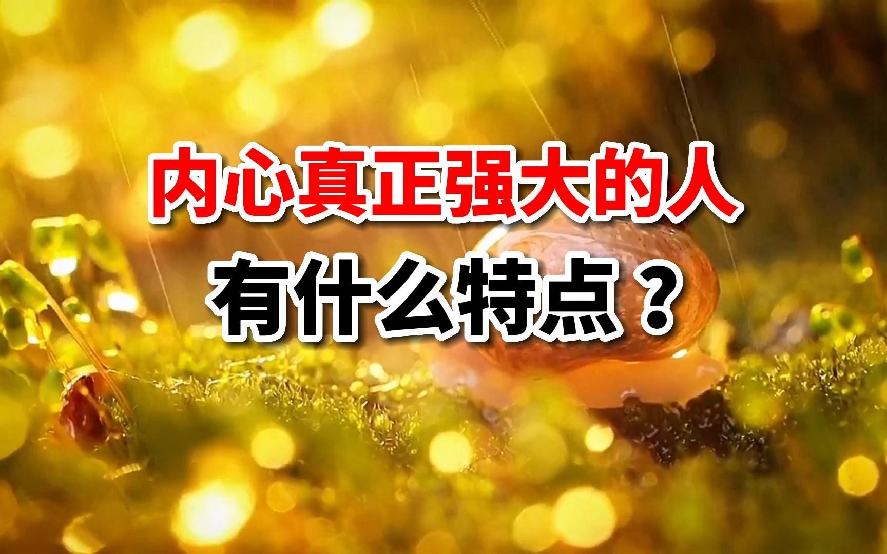 内心真正强大的人有什么特点?这篇散文值得一读!哔哩哔哩bilibili