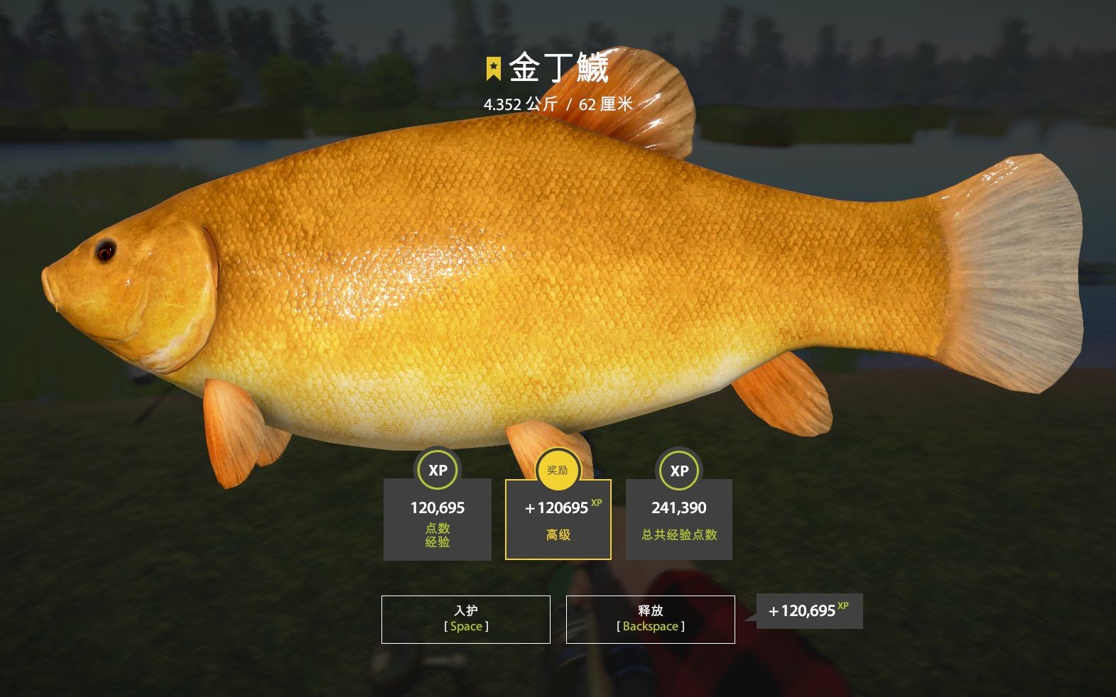 俄罗斯钓鱼4星金丁丁 还以为下饭了