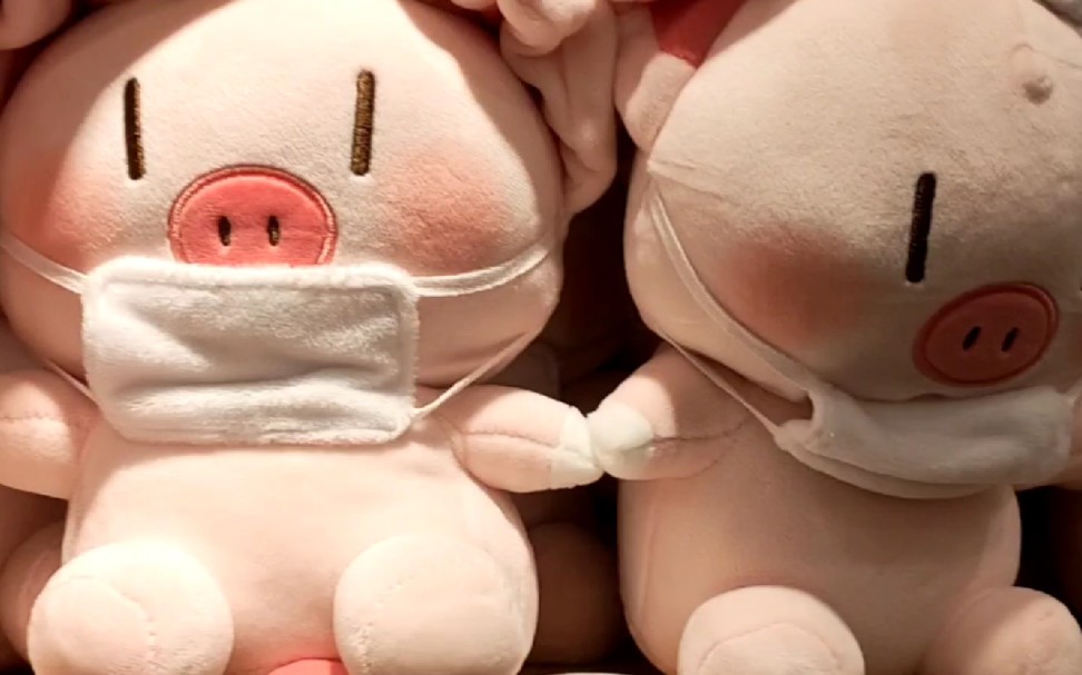 没有抢到85号猪～口罩猪也还可爱啊