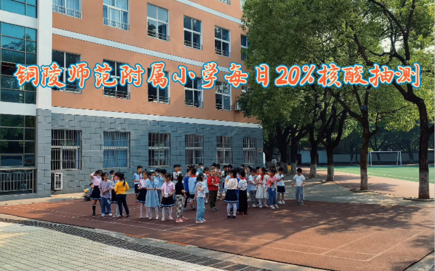 铜陵师范附小第六轮第2天20%核酸抽检,采样400例,预防风险