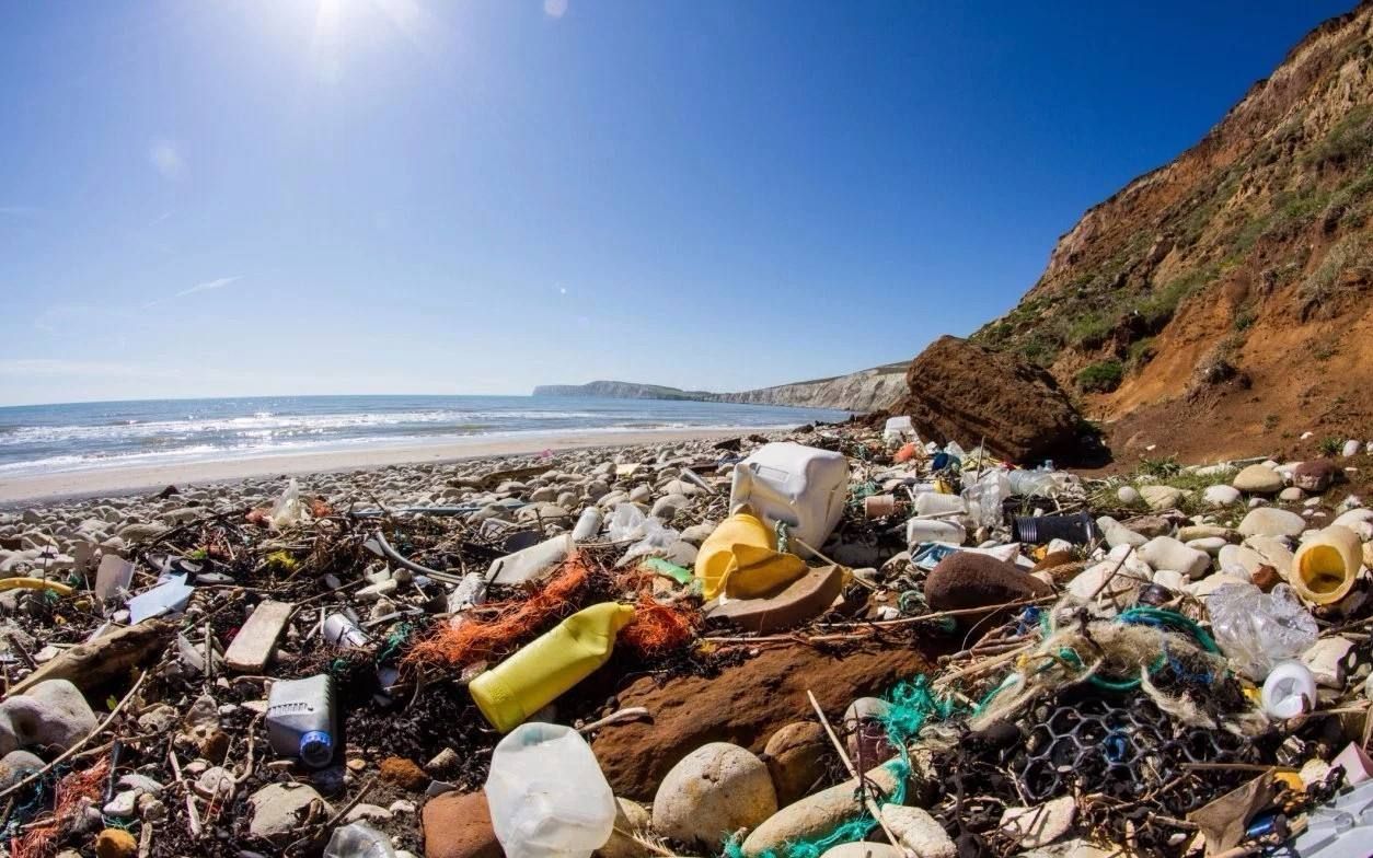 人类制造出"第八大陆",竟然是400万吨垃圾,面积超10个河南省_哔哩哔哩