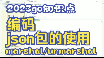 go编码-encoding/json包使用
