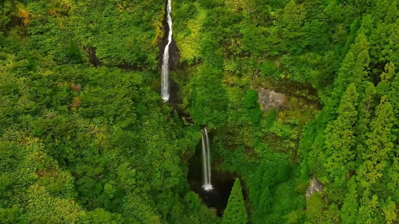 blackthedevil 你好 现场版伴奏 新说唱2024 和声伴奏