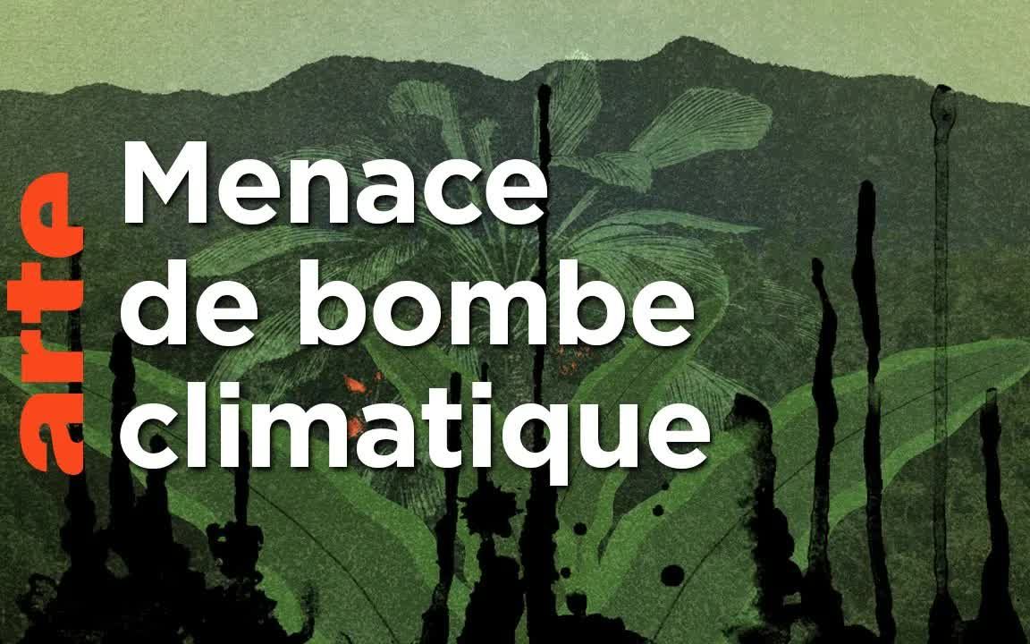 【法语字幕】刚果森林中的黑色灾难 Congo P㩲il noir sur la for㪴哔哩哔哩bilibili