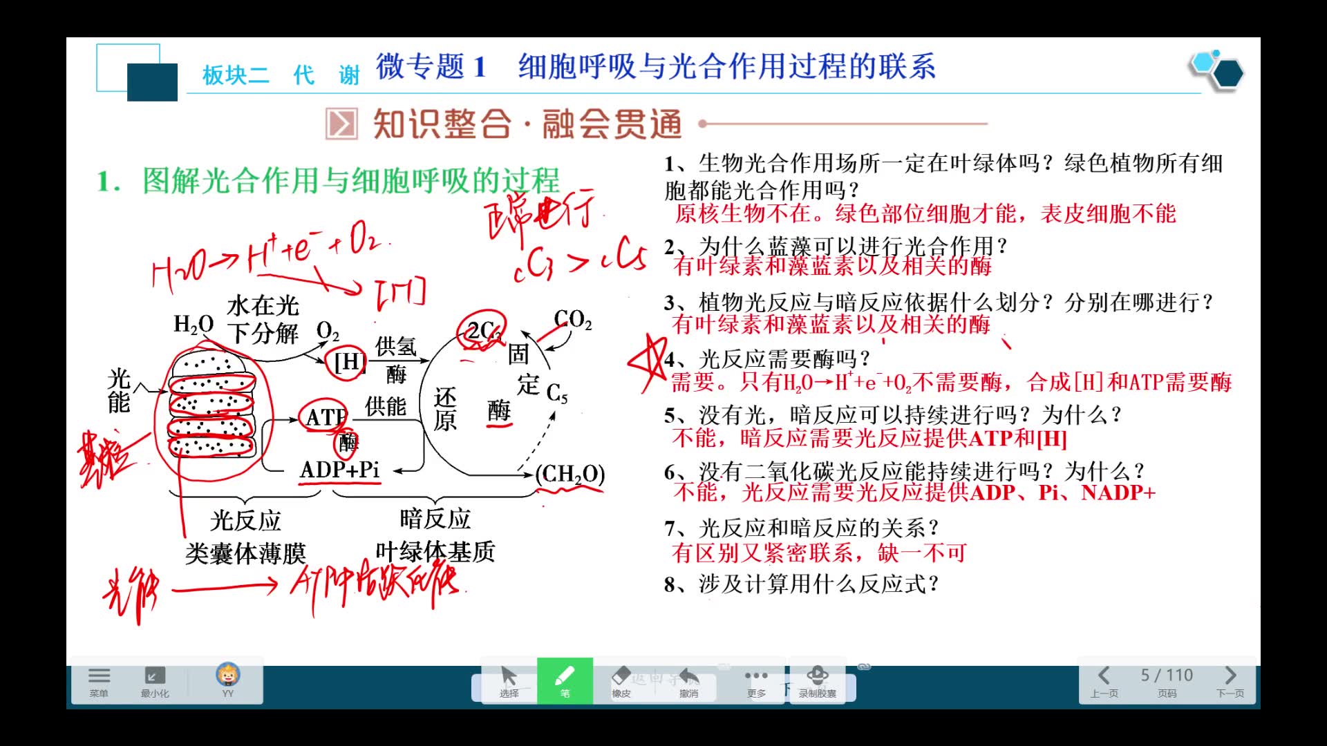 [图]光合作用和呼吸作用的过程及联系