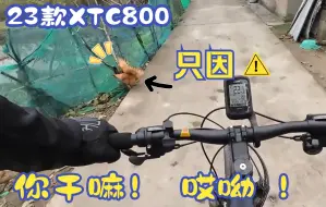 Download Video: 23款XTC800 差点撞到只因 40km休闲骑