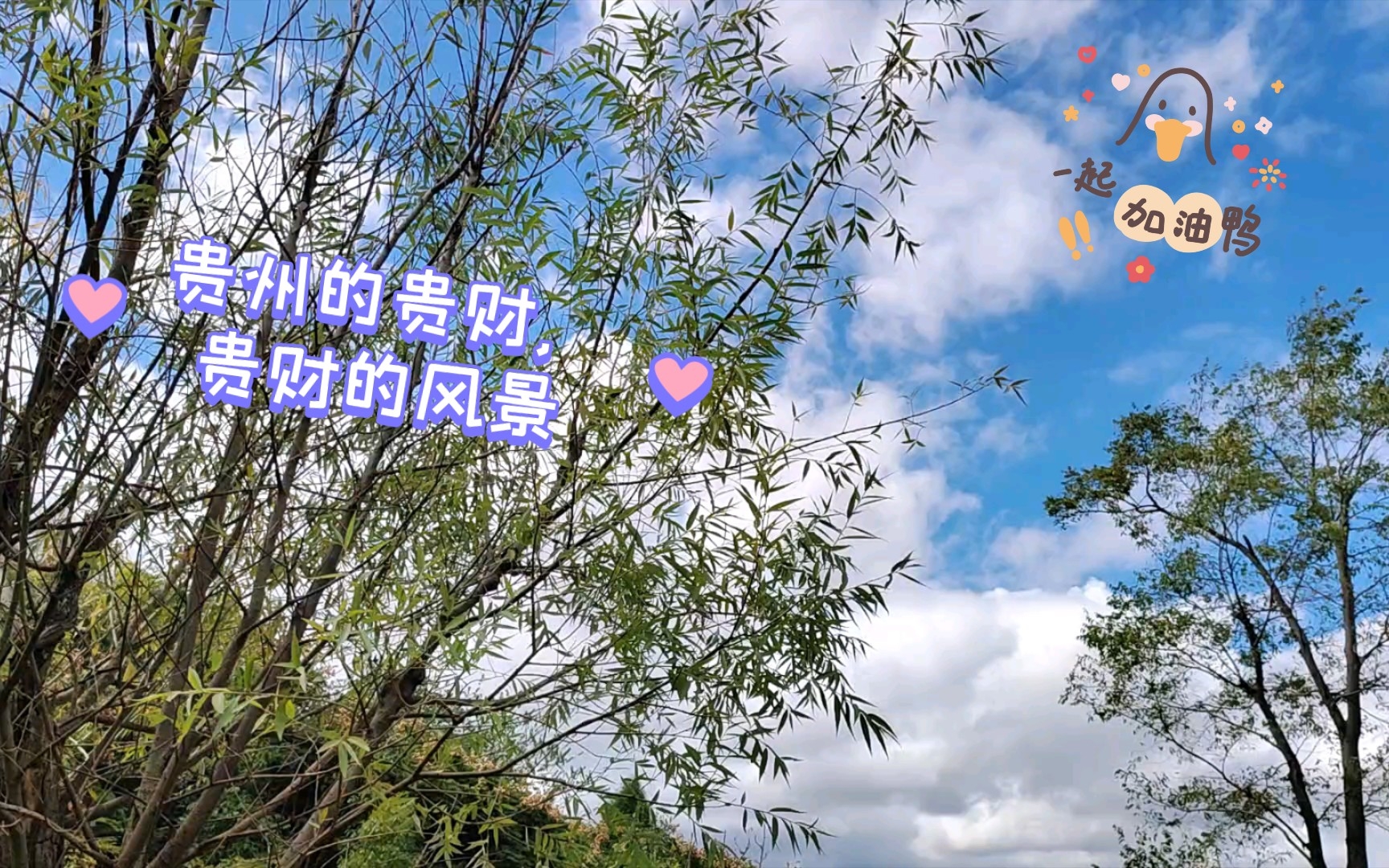 贵州的贵财,贵财的风景哔哩哔哩bilibili