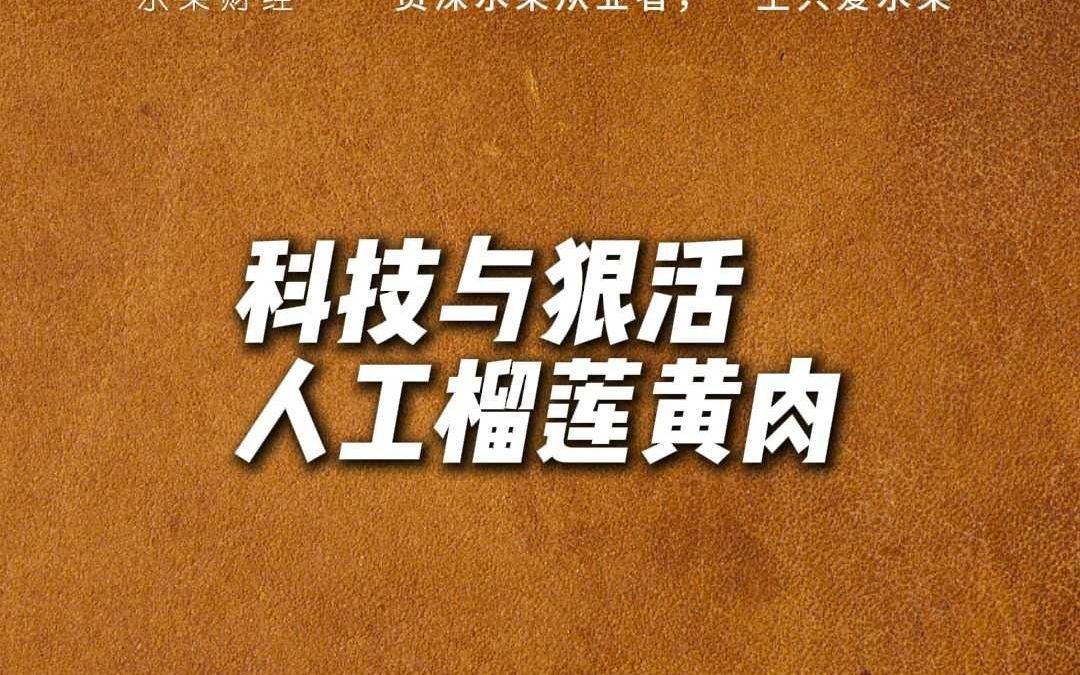 科技与狠活人工榴莲黄肉哔哩哔哩bilibili