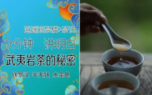 Download Video: 9分钟讲明白武夷岩茶的秘密（下）