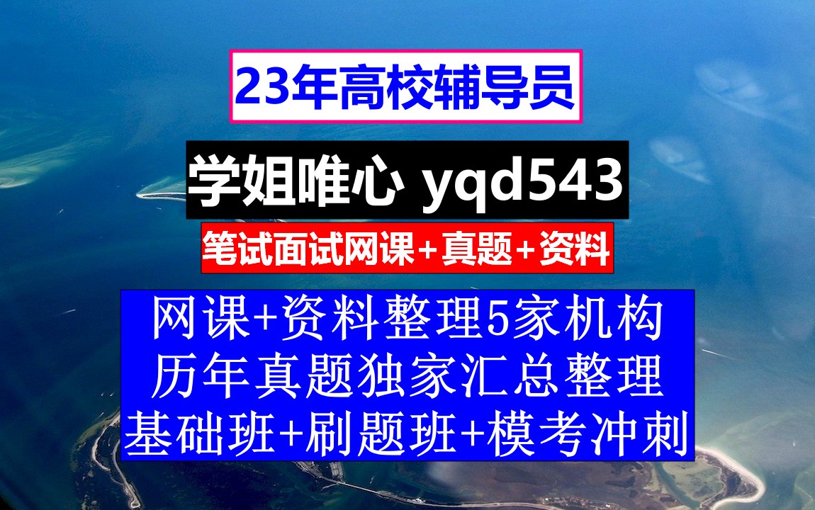 23高校辅导员招聘,高校辅导员岗位认识,高校辅导员考试流程哔哩哔哩bilibili