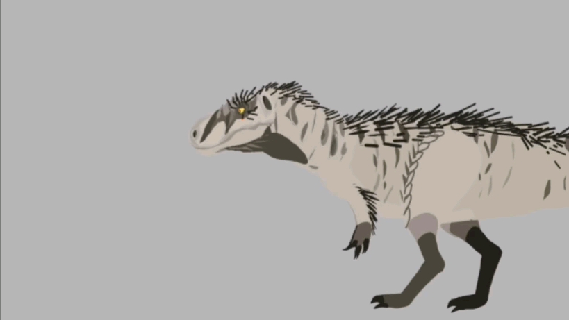 [vs系列]斑龙vs玛君龙