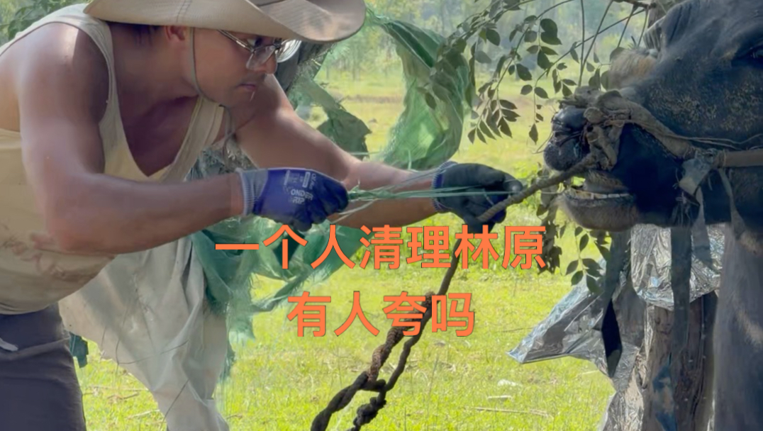 超级超级好看的山野