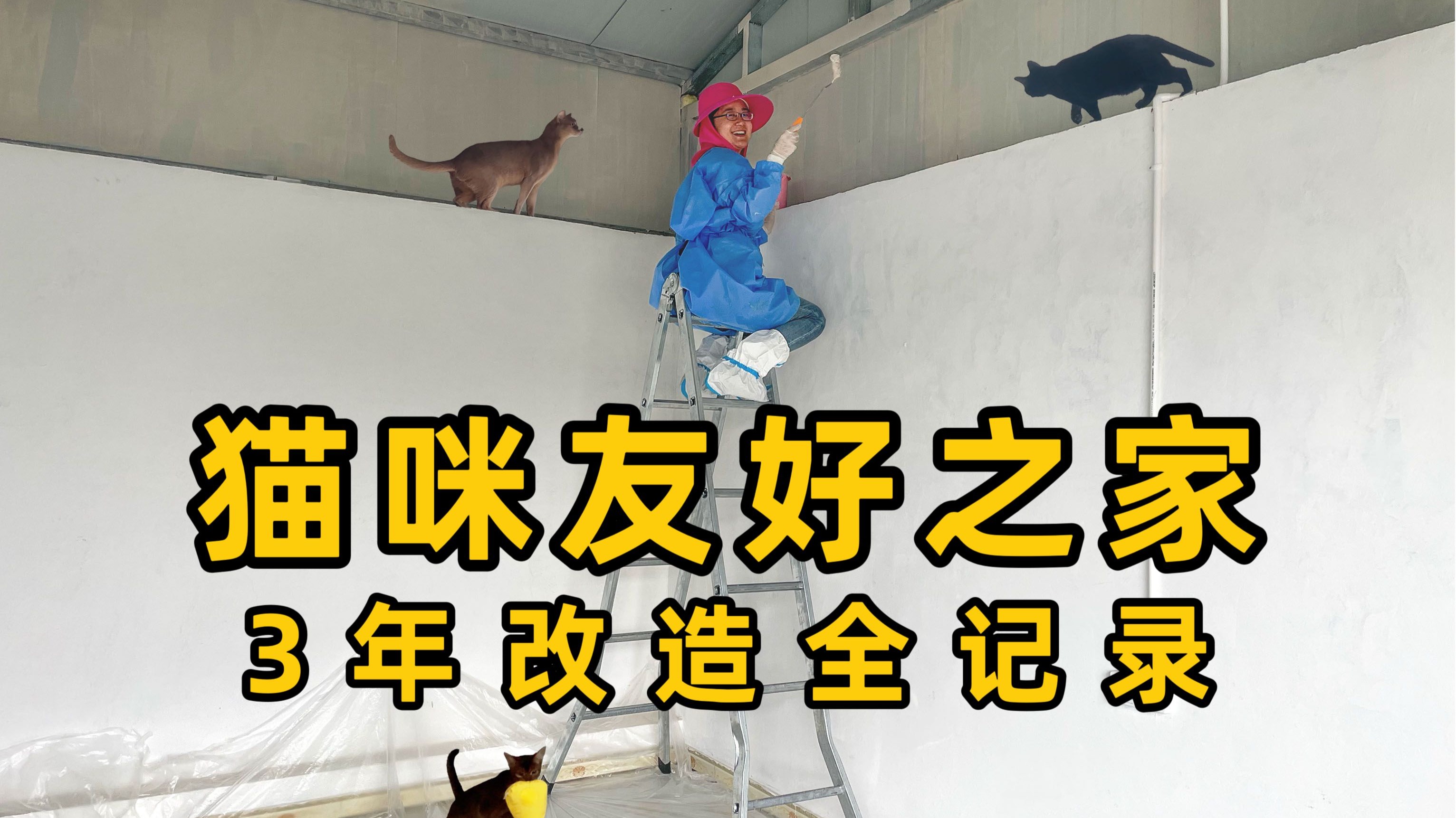 3年改造全记录，亲手改造一个猫咪友好之家