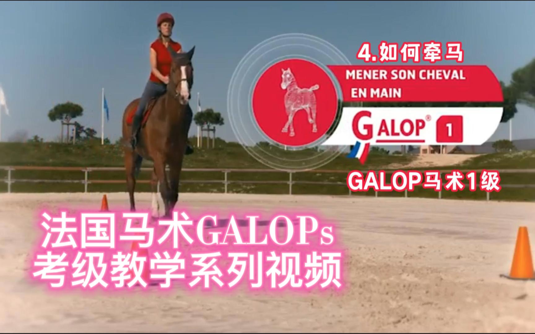 [图]【法语中字】Galop1级第四课 如何牵马｜法国马术考级官方教学视频