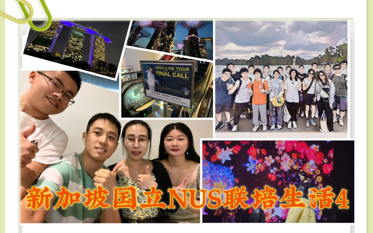 【CSC新加坡国立大学联培博士】周末麦里芝水库徒步+奶茶演唱会哔哩哔哩bilibili