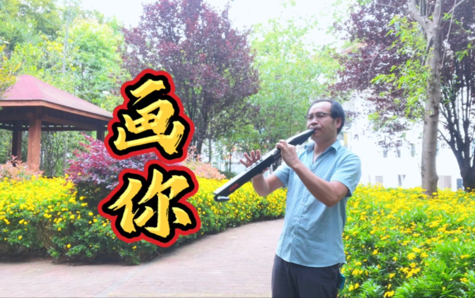 电吹管吹奏《画你》