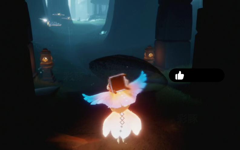 光遇 透明大伞 大雨伞 黑色大伞 雨林展示