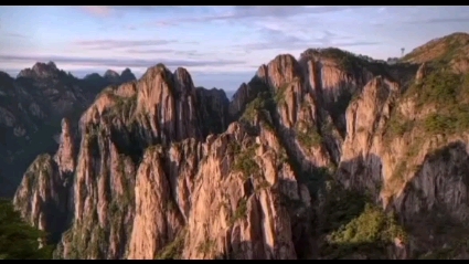 黄山松风景哔哩哔哩bilibili