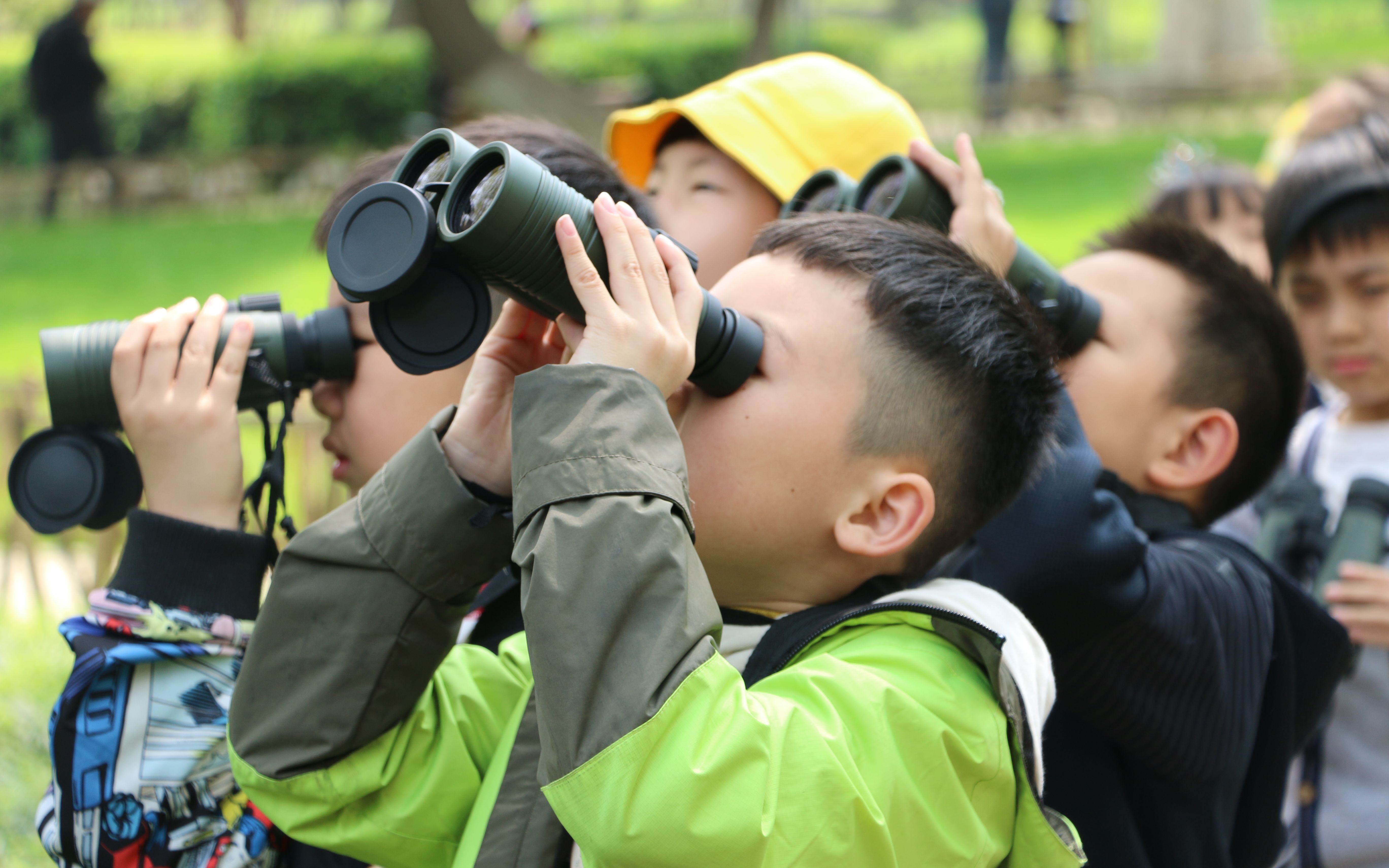 活动  这么苦的果子,鸟为什么吃得这么香?| 乐跋自然班级定制观鸟活动