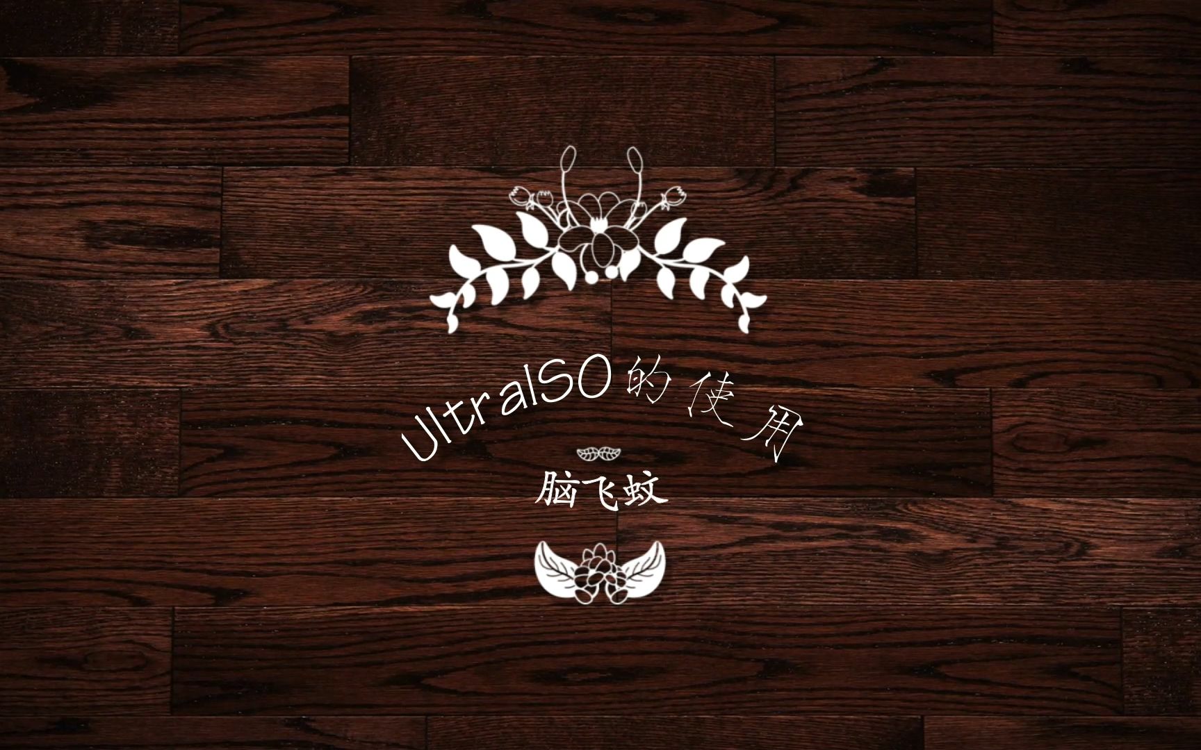 虚拟光驱 UltraISO的使用说明哔哩哔哩bilibili