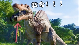 黎明杀机 带了追星族但是用不上的地下设施护士 哔哩哔哩 つロ干杯 Bilibili
