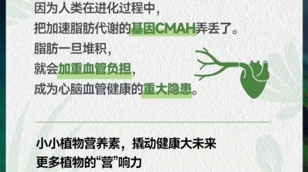 目前全球每年因为心脑血管疾病死亡人数超过 1800 万,至 2030 年将达到 2300 万,我国心脑血管疾病死亡人数占总死亡人数 2/5.哔哩哔哩bilibili