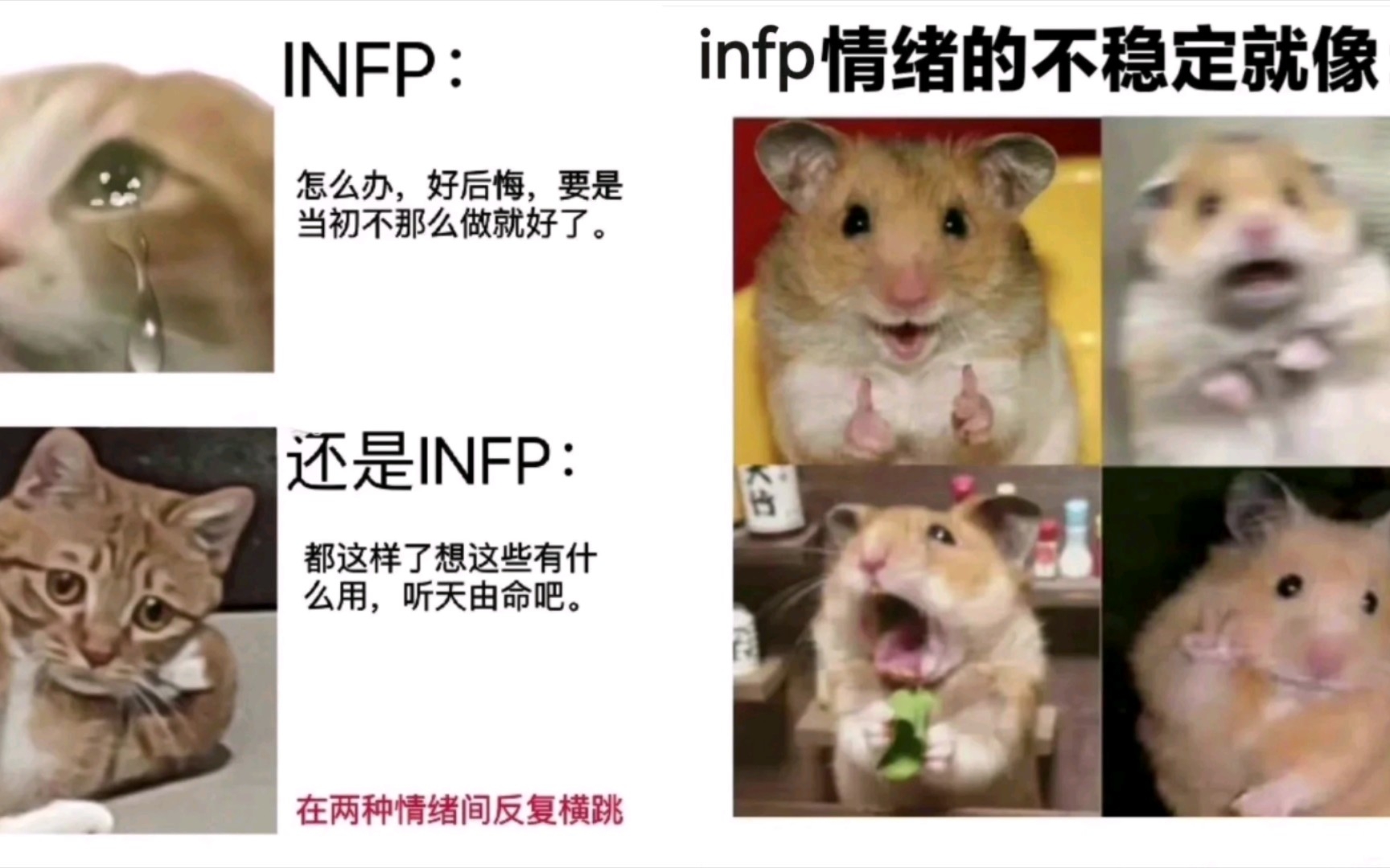 [图]【INFP】线上开会摸鱼的时候突然发现自己麦是开着的？？小蝴蝶(仅代表本人)be like：