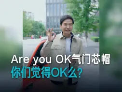 Download Video: 【雷军】Are you OK？这次非常OK！