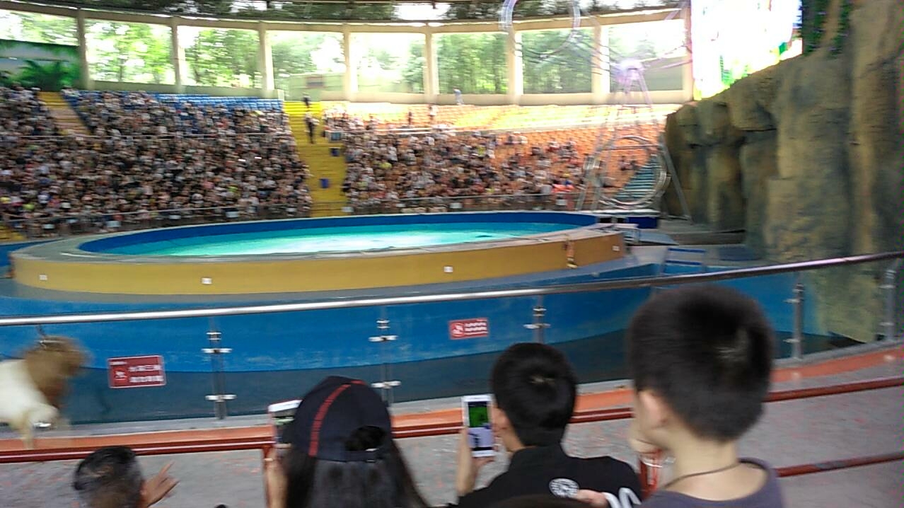 杭州野生动物园杂技表演
