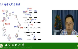 Скачать видео: 基因的表达与调控-真核生物基因调控-DNA水平的调控-茶创2021级