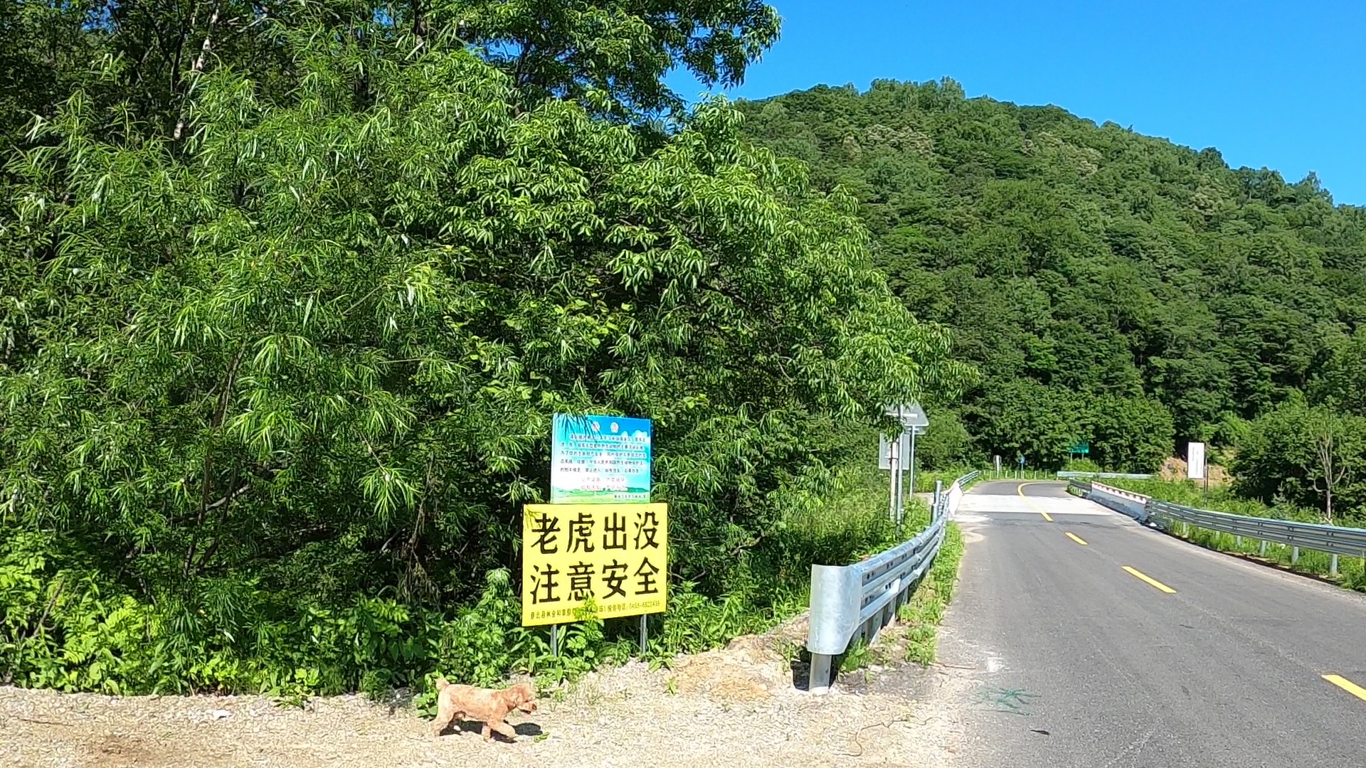 大兴安岭边境线,路牌提示有东北虎出没,房车尽量别在这里过夜哔哩哔哩bilibili