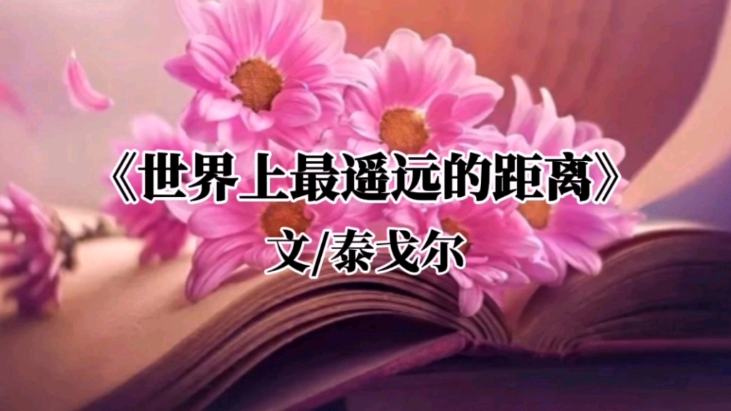 世界上最遥远的距离不是生与死,而是我就站在你面前,你却不知道我爱你