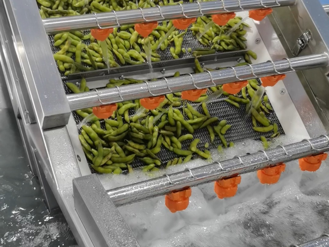 商用全自动化连续式气泡清洗机,快速清洗毛豆设备