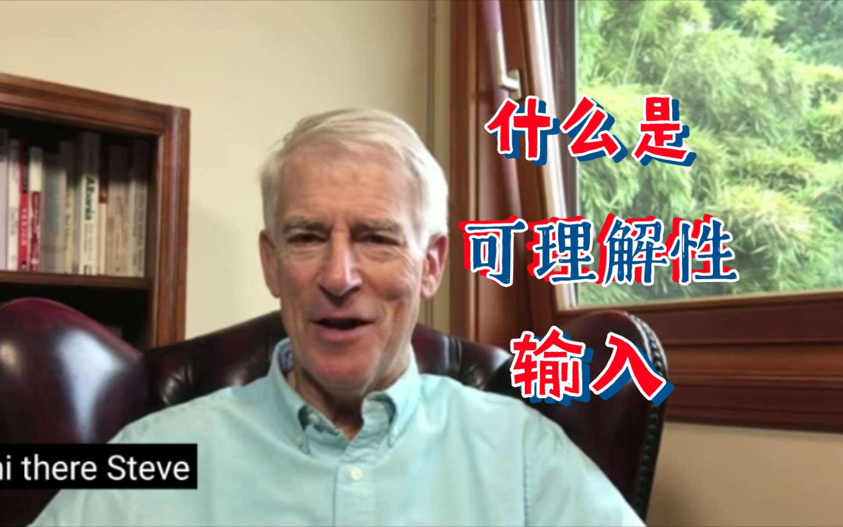 【语言】Steve Kaufman|什么是可理解性输入哔哩哔哩bilibili