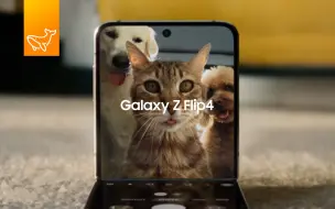 Скачать видео: 三星 Galaxy Z Flip4：解锁自拍新角度