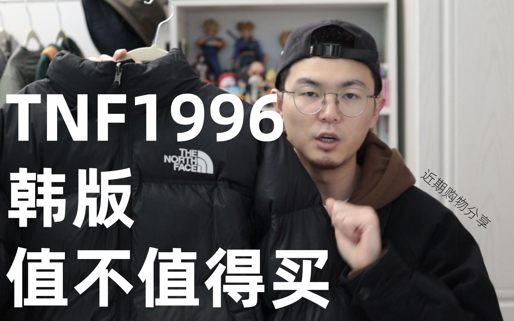 最便宜的TNF1996韩版羽绒服到底值不值得买 | 近期购物分享哔哩哔哩bilibili